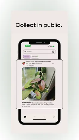 Game screenshot Choosii - Collect in Public mod apk