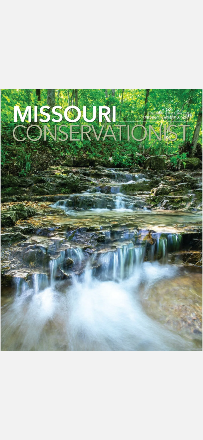 MO Conservationist Magazine