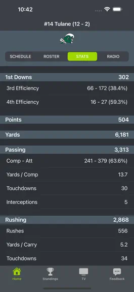 Game screenshot New Orleans Waves Football hack