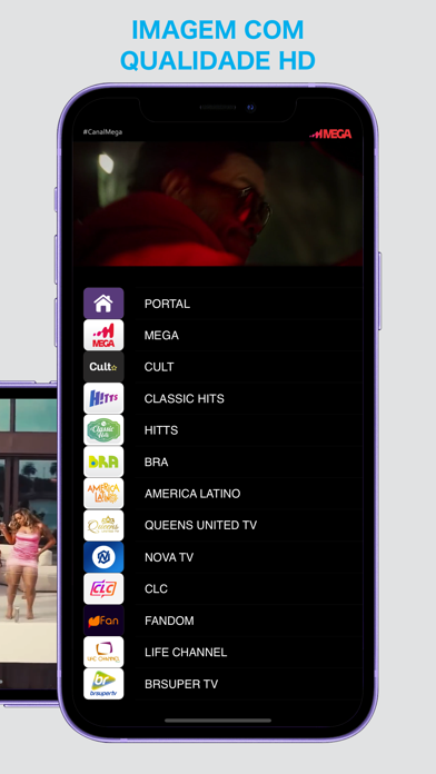 Screenshot #3 pour AGS TV