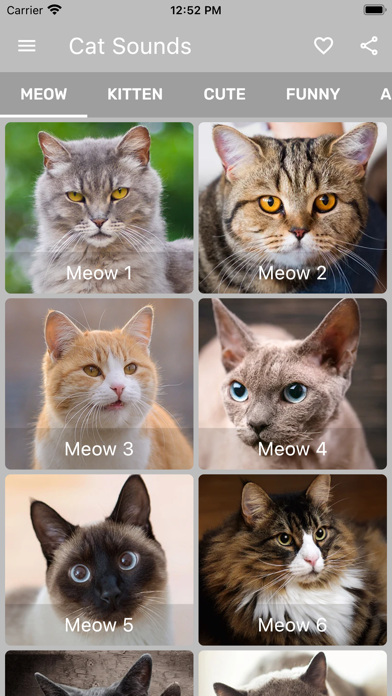 Cat Sounds - Meow Soundboard Screenshot