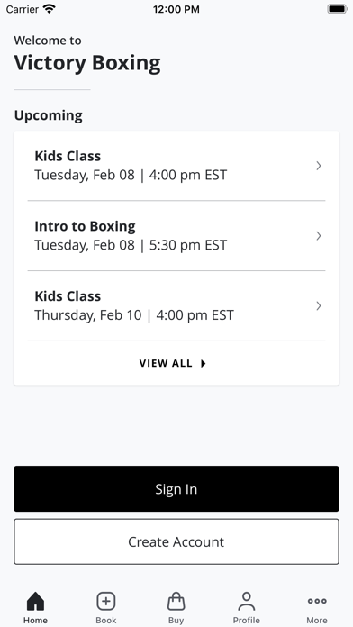 Victory Boxing Screenshot
