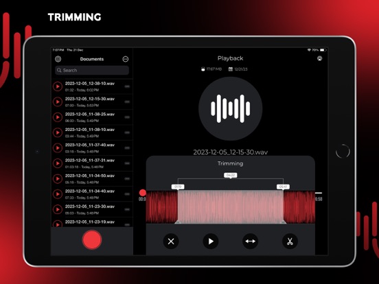 Audio Recorder Pro and Editor iPad app afbeelding 4