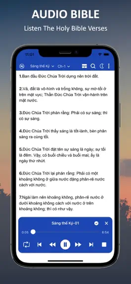 Game screenshot Kinh Thánh Việt Nam (Âm thanh) apk