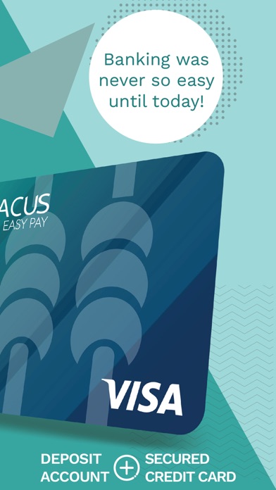 Abacus Easy Pay Screenshot