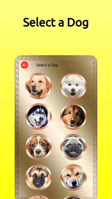 Dog Translator for Dogs Screenshot