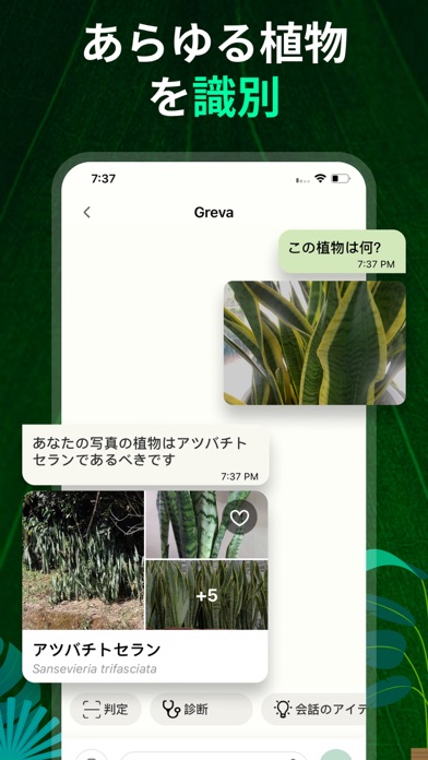 PlantAI: 植物の識別と診断のおすすめ画像2