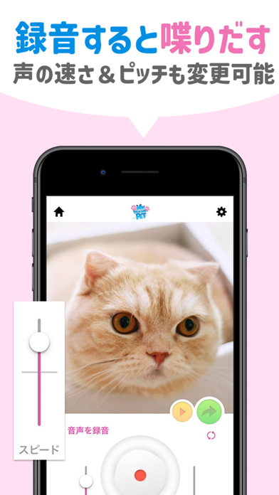 おしゃべりペット:犬や猫の面白動画メーカー・Pet写真加工のスクリーンショット - 4