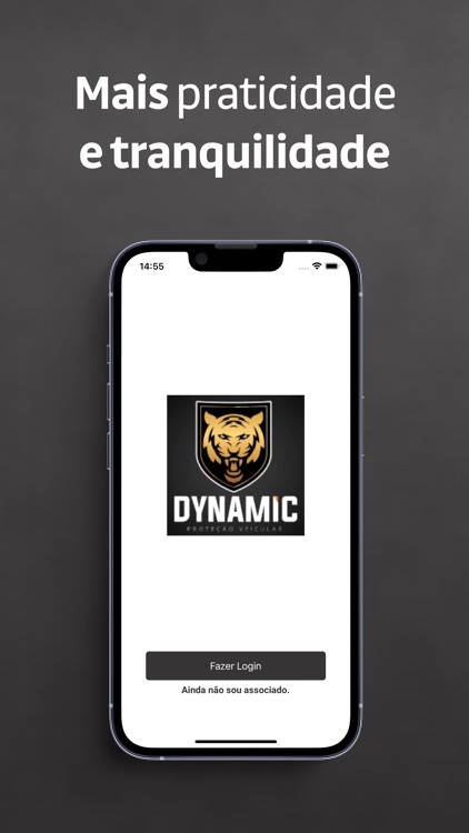 Dynamic Proteção Veicular screenshot-3