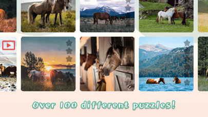Horses Mania Jigsaw Puzzles Screenshot