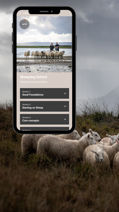 Sheepdog School Screenshot