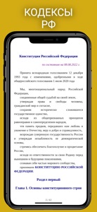 Кодексы и Законы РФ screenshot #2 for iPhone