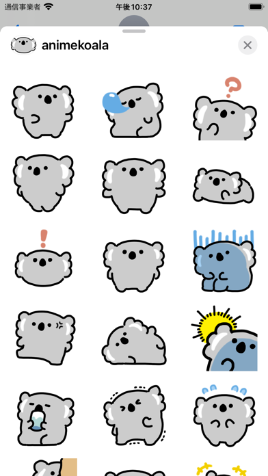 animated koala sticker Screenshot