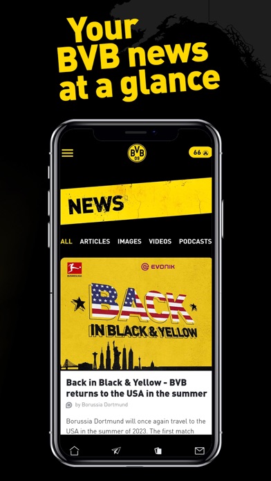 BVB BlackYellow Screenshot
