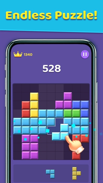 Block Sudoku Puzzle Game Screenshot