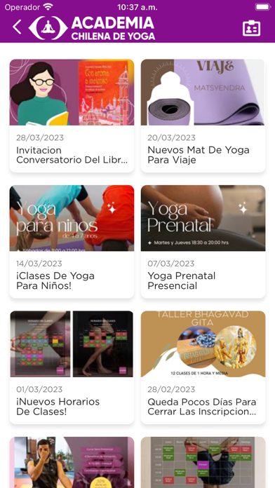 Academia Chilena De Yoga Screenshot