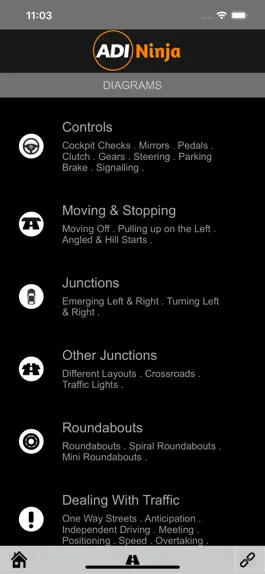 Game screenshot Driving lesson plans UK apk