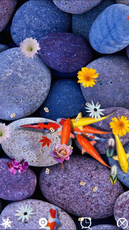 Pond Koi－Decompress and relax! screenshot-3