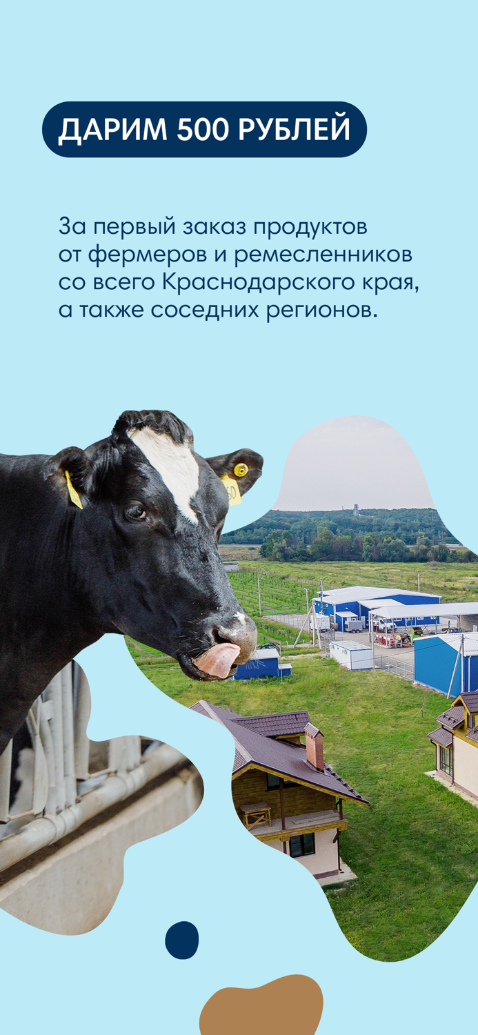 Ключевское живые продукты