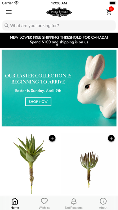 James Street Home Decor Screenshot