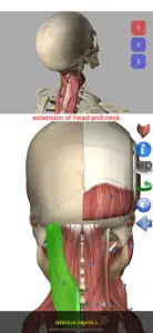 Visual Anatomy screenshot #5 for iPhone