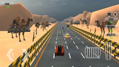 Traffic Racer Champion Game Screenshot