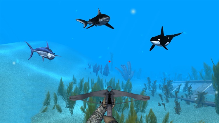 VR Ocean Aquarium 3D screenshot-5