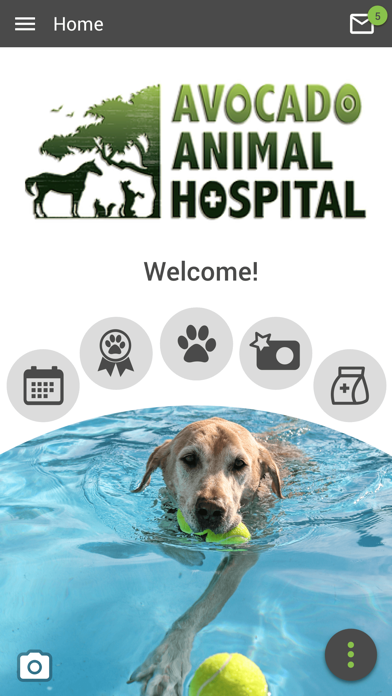 Avocado Vet Screenshot