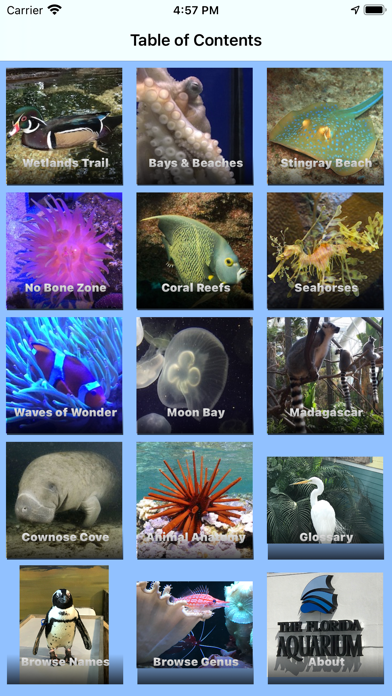 Florida Aquarium Guide Screenshot