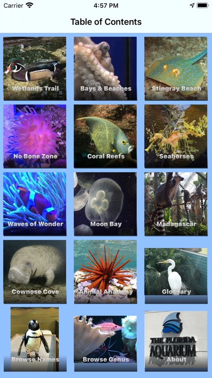 Florida Aquarium Guide