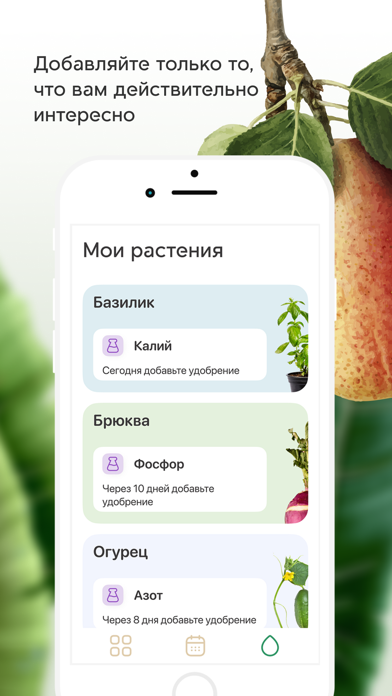 Plant Push Screenshot
