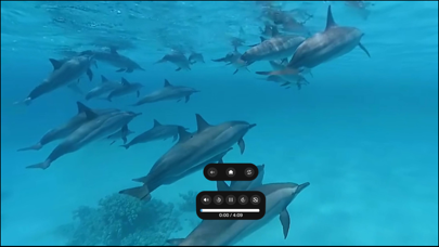 Dayholi Screenshot