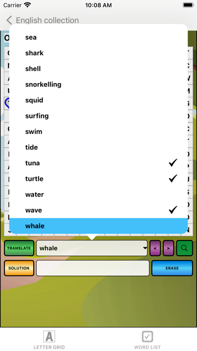 Word Search & Definition (DX) Screenshot