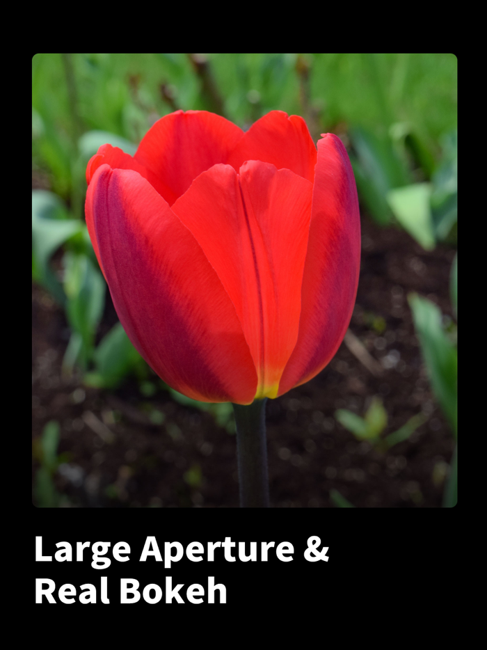 Vivid Focus Photo Lens Blur