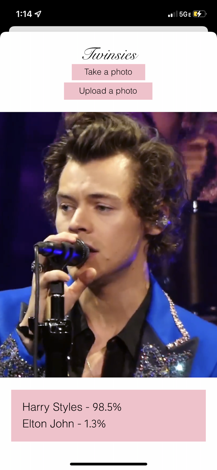 Twinsies - Celebrity Lookalike