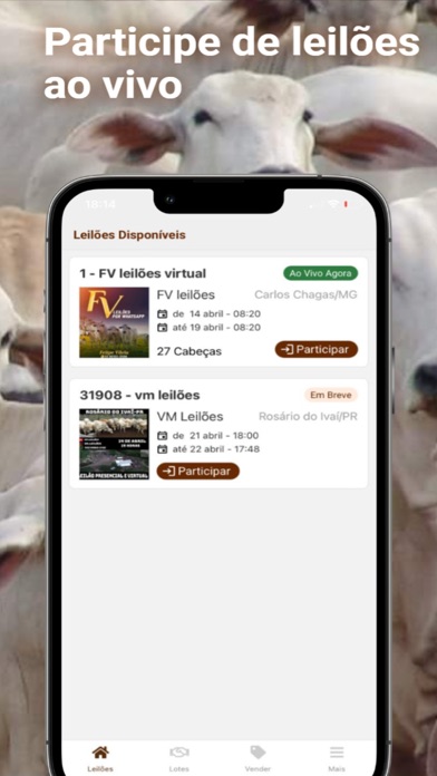 Mercado Agro: Gados online Screenshot