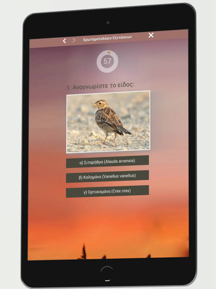 Ερωτηματολόγιο κυνηγών