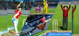 Game screenshot Cricket Stars Cricket Game apk