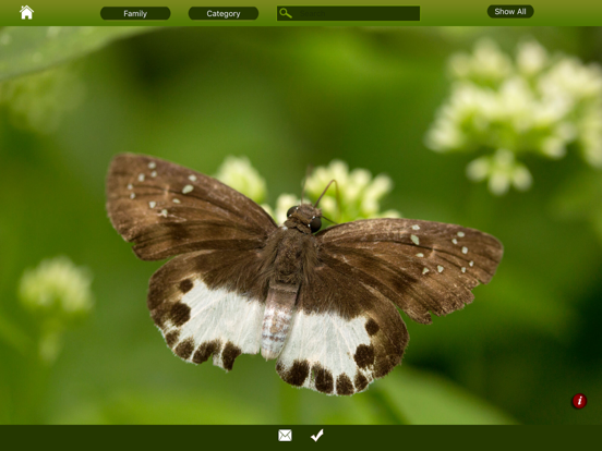 Butterfly eGuideのおすすめ画像2