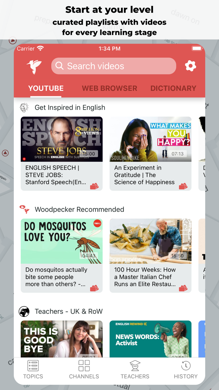 Woodpecker - Language Learning