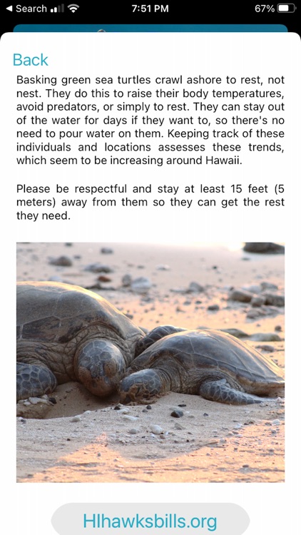 HI Hawksbill Conservation screenshot-7