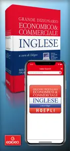 Business Dictionary EN-IT screenshot #1 for iPhone