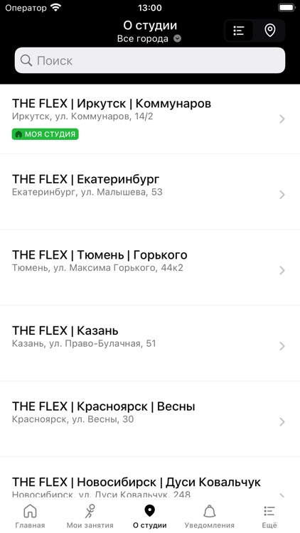 The Flex screenshot-3