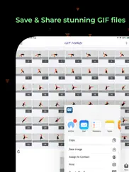 mp4 to gif, video to gif maker iPad Captures Décran 3