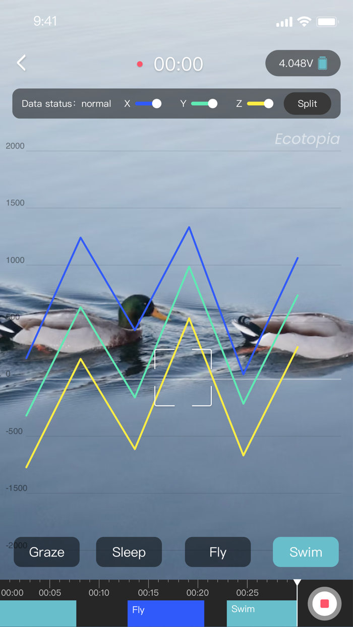 Ecotopia -Druid Animal Tracker