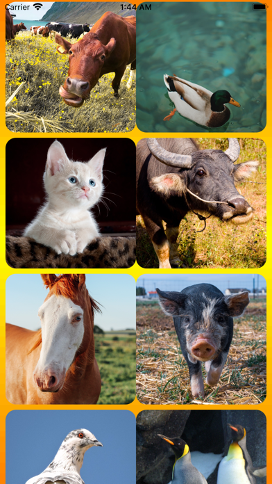 Birds And Animals Call Screenshot