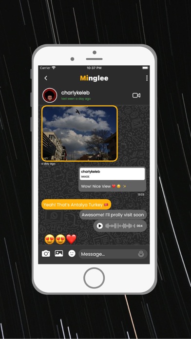 Minglee Screenshot