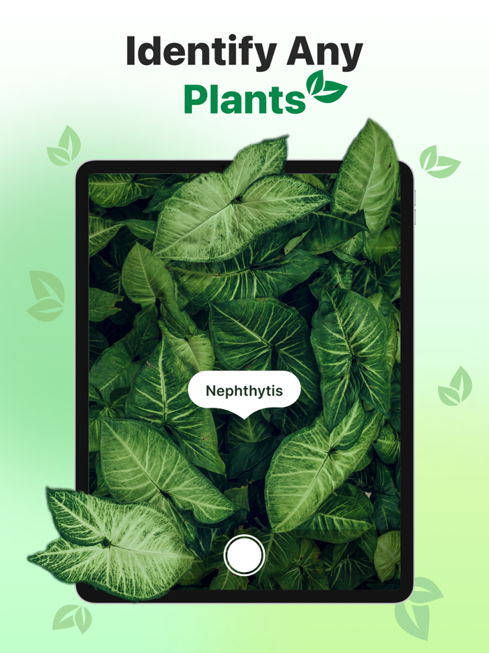 Plant ID Nature Identifier AI