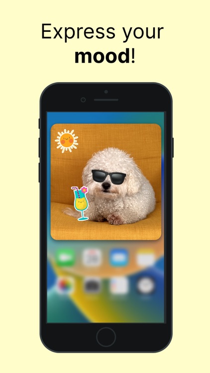 Mood Board: Photo Widget