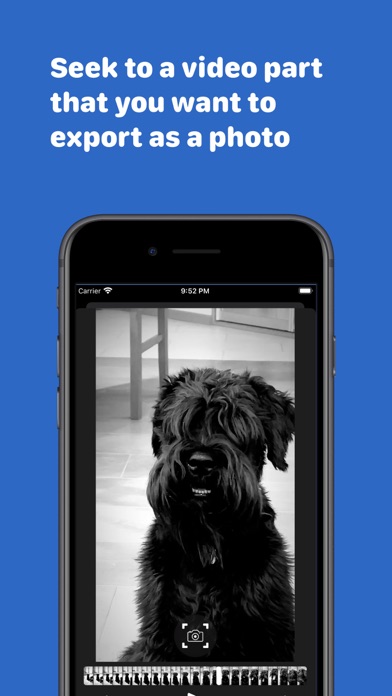 FrameShot - Video to Photo Screenshot